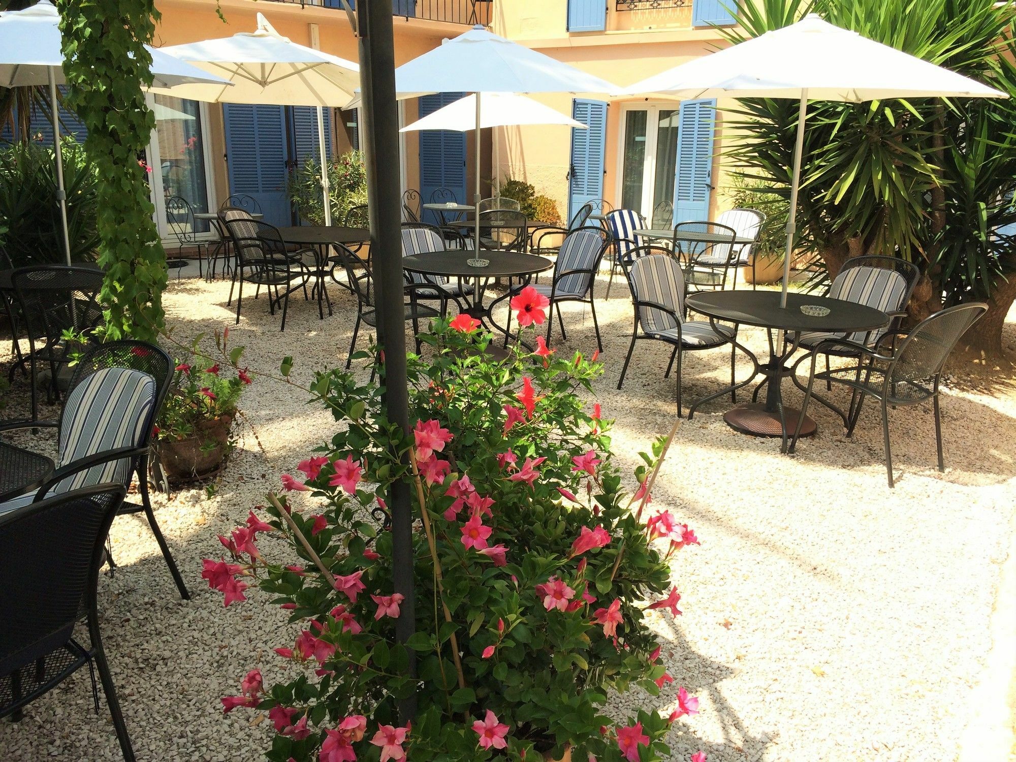 Hotel L'Olivier - Piscine & Parking Cannes Exteriér fotografie